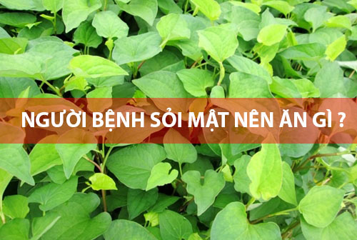 NGƯỜI BỊ SỎI MẬT