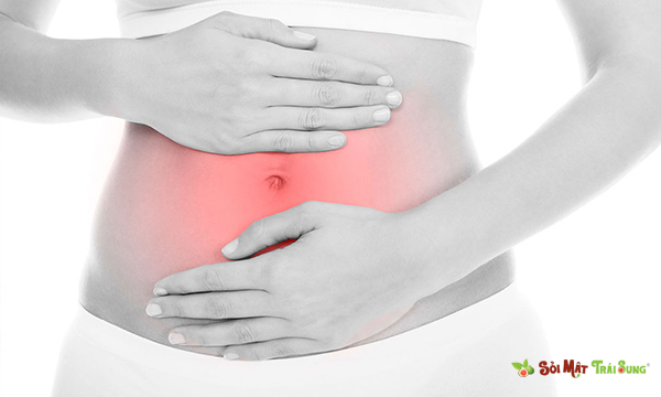 Sỏi bùn túi mật: Nguyên nhân, triệu chứng và cách chữa trị.