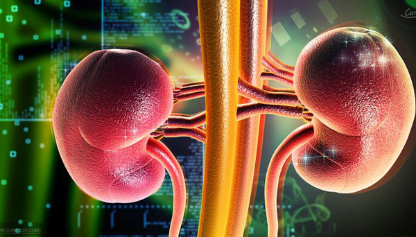 Ăn mặn, nhịn tiểu tạo nên sỏi thận