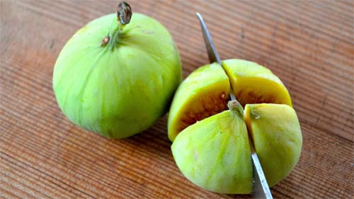 công dụng của trái sung