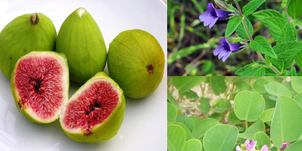 phương pháp điều trị sỏi mật