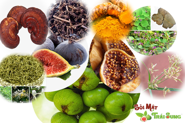 Phương pháp ngăn ngừa sỏi mật tái phát