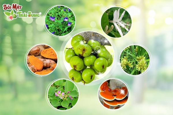 trị sỏi băng phương pháp 4T