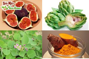 sỏi đường tiết niệu