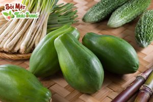 chữa sỏi thận bằng đu đủ