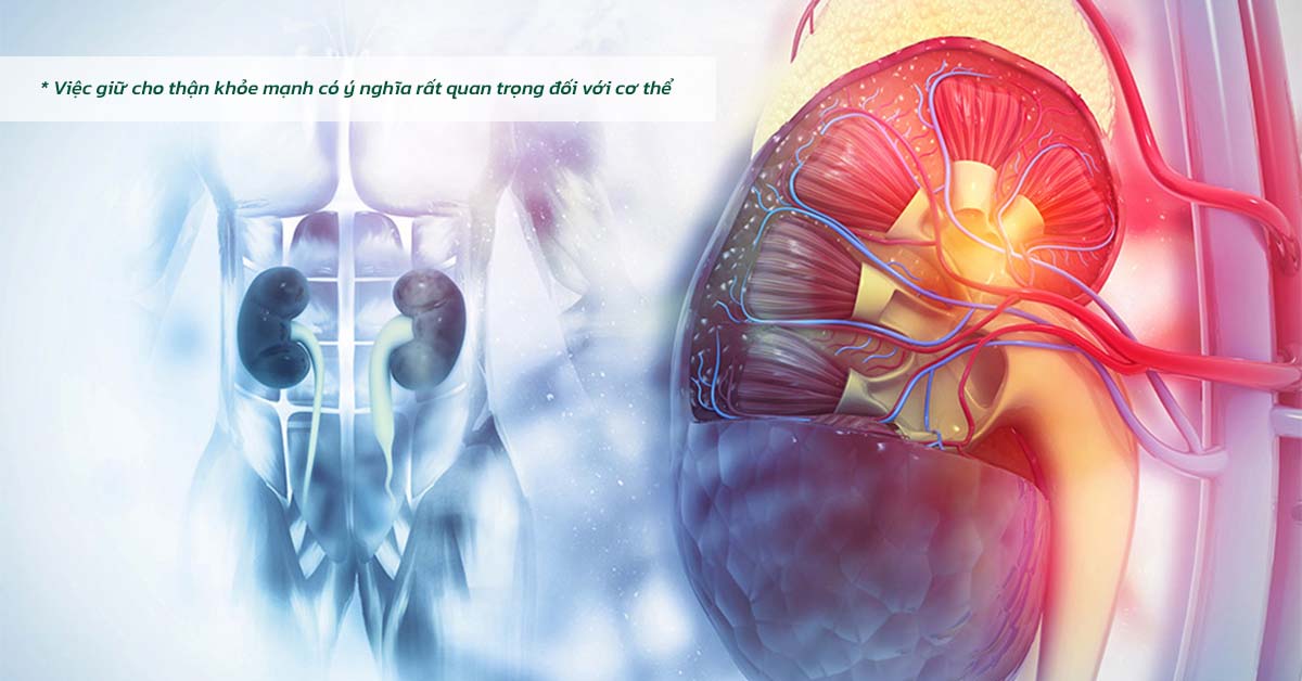 Triệu chứng sỏi thận 