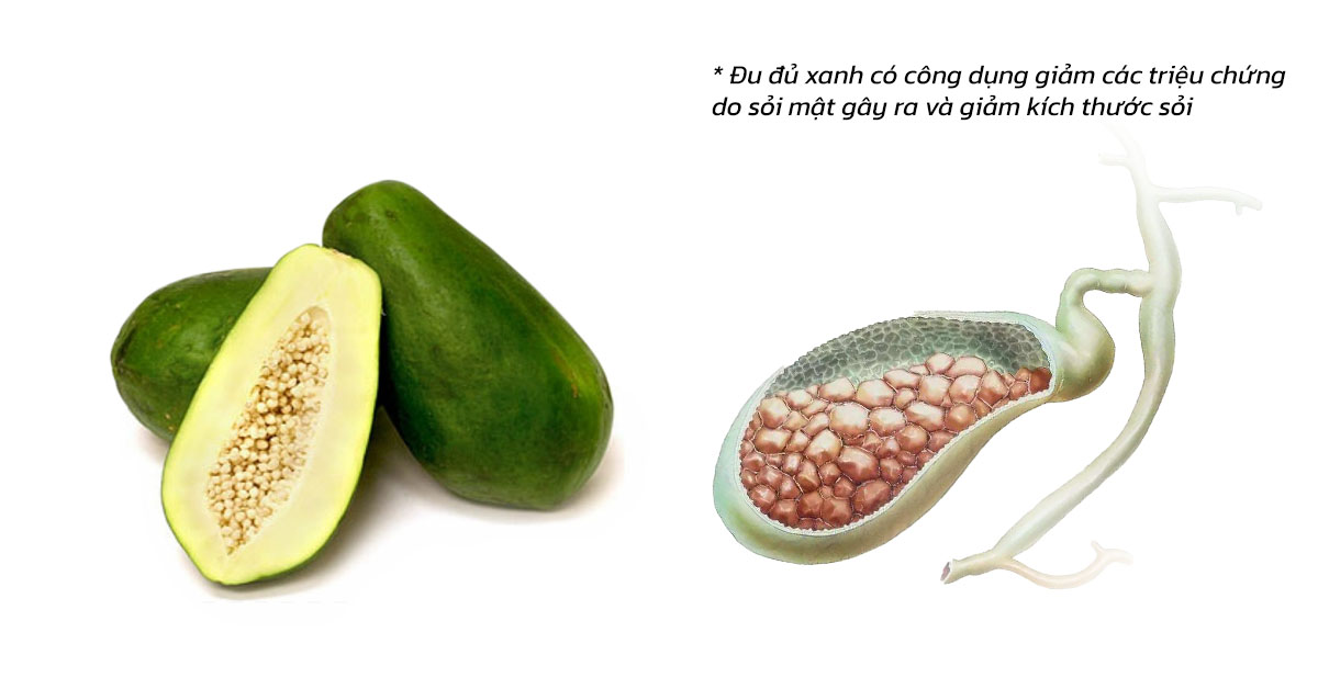 Đu đủ xanh có công dụng giảm các triệu chứng do sỏi mật gây ra và giảm kích thước sỏi