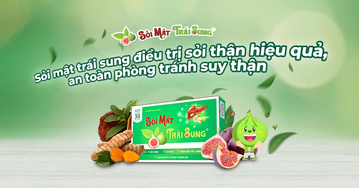 Sỏi mật trái sung điều trị sỏi thận hiệu quả, an toàn phòng tránh suy thận 