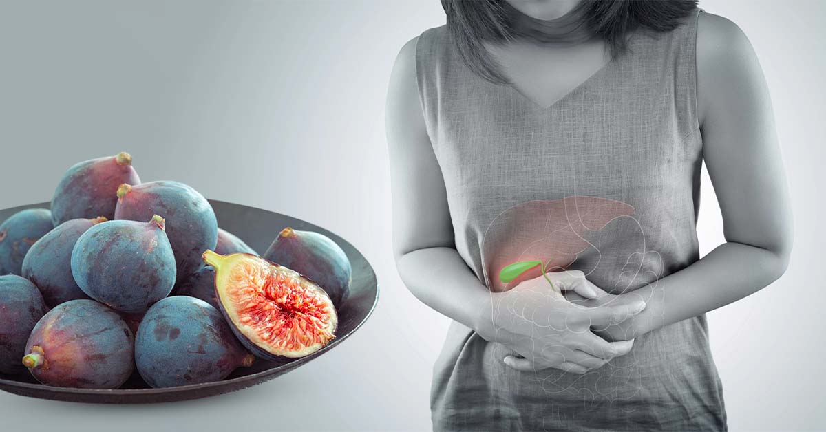 Quả sung là nguyên liệu không thể thiếu trong các bài thuốc chữa sỏi túi mật Quả sung là nguyên liệu không thể thiếu trong các bài thuốc chữa sỏi túi mật