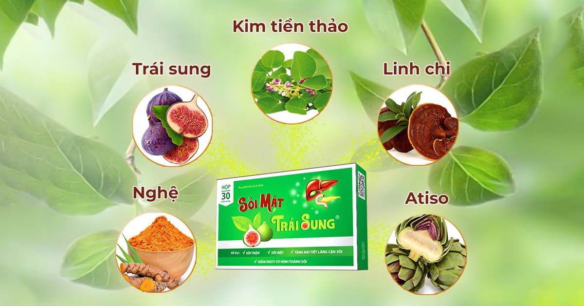  Sỏi mật trái sung điều trị hiệu quả sỏi rơi xuống niệu đạo