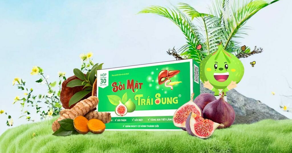 Dùng sỏi mật trái sung chữa sỏi thận 7mm hiệu quả, an toàn