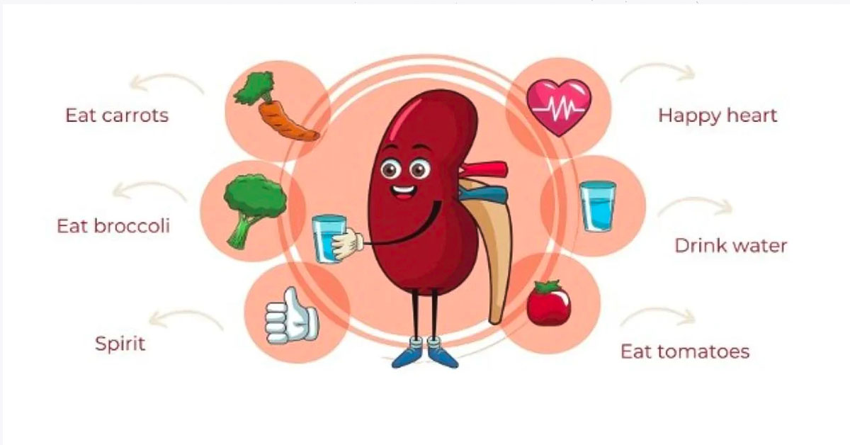 Chế độ dinh dưỡng khoa học giúp người bệnh sau khi tán sỏi nhanh lành vết thương