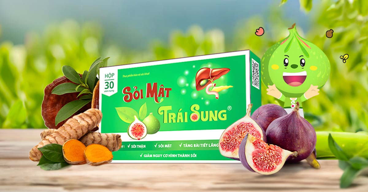 Sỏi mật trái sung giải pháp cho bệnh sỏi thận