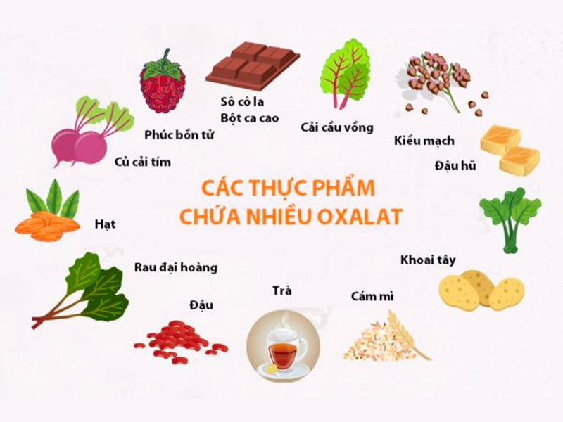 Ăn nhiều rau chứa oxalat sẽ làm hại thận
