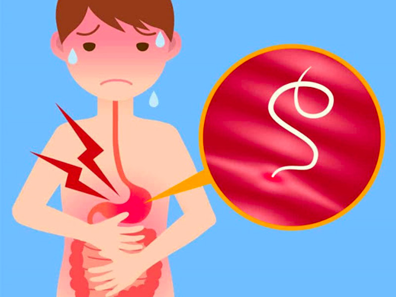 Không tẩy giun định kỳ sẽ làm tăng nguy cơ mắc bệnh sỏi túi mật