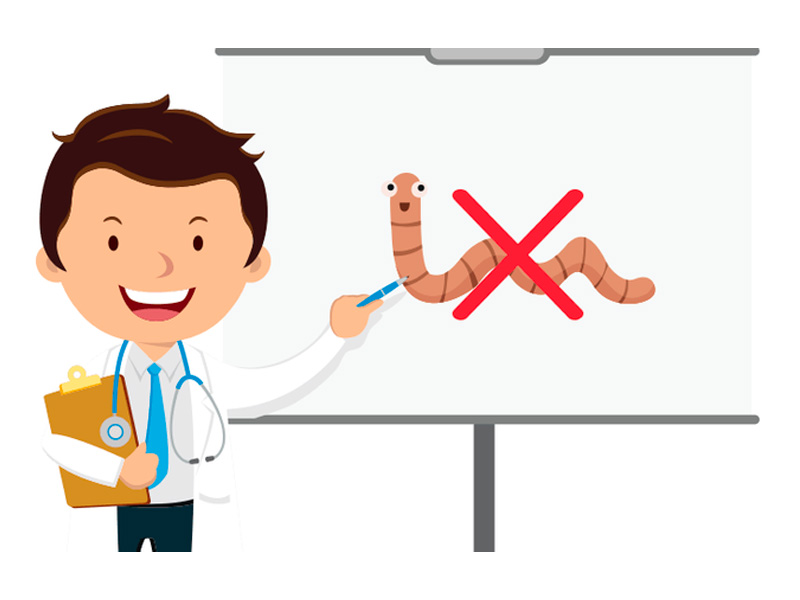 Tẩy giun định kỳ để hạn chế mắc bệnh sỏi mật