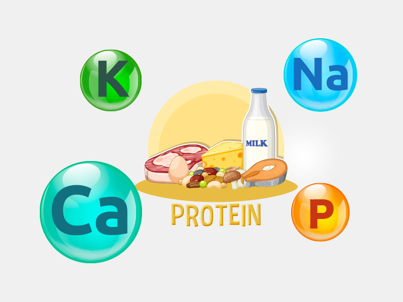  5 Chất nên hạn chế bổ sung khi thận gặp vấn đề 