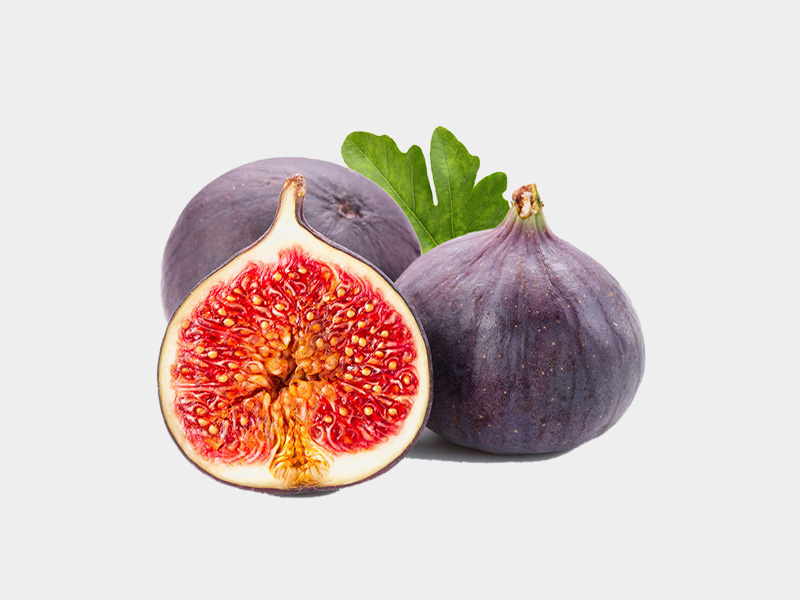 Đánh tan sỏi mật bằng trái sung