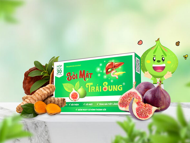 Đánh tan sỏi mật bằng sỏi mật trái sung