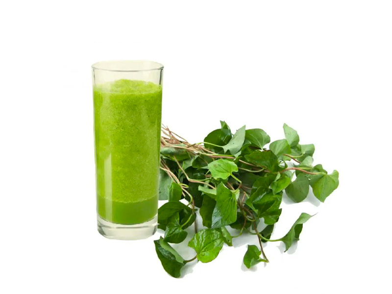 Nước ép rau diếp cá giúp đẩy lùi sỏi mật