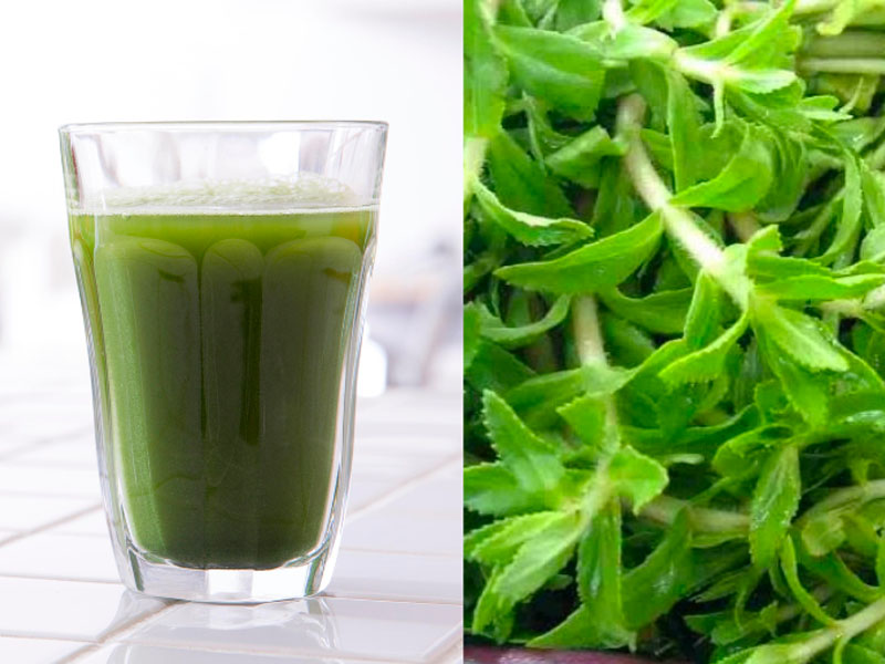 Đánh tan sỏi gan tại nhà bằng nước ép rau ngổ