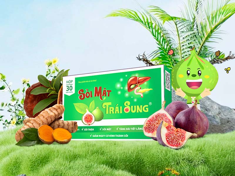  Sỏi mật trái sung chữa sỏi thận 6mm không cần phẫu thuật