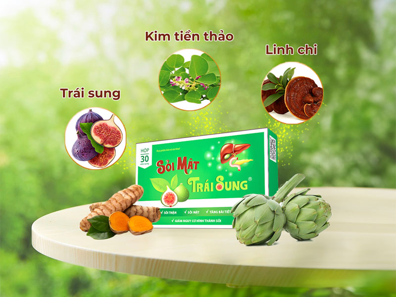 Sỏi mật trái sung chữa sỏi mật, sỏi thận, sỏi gan hiệu quả