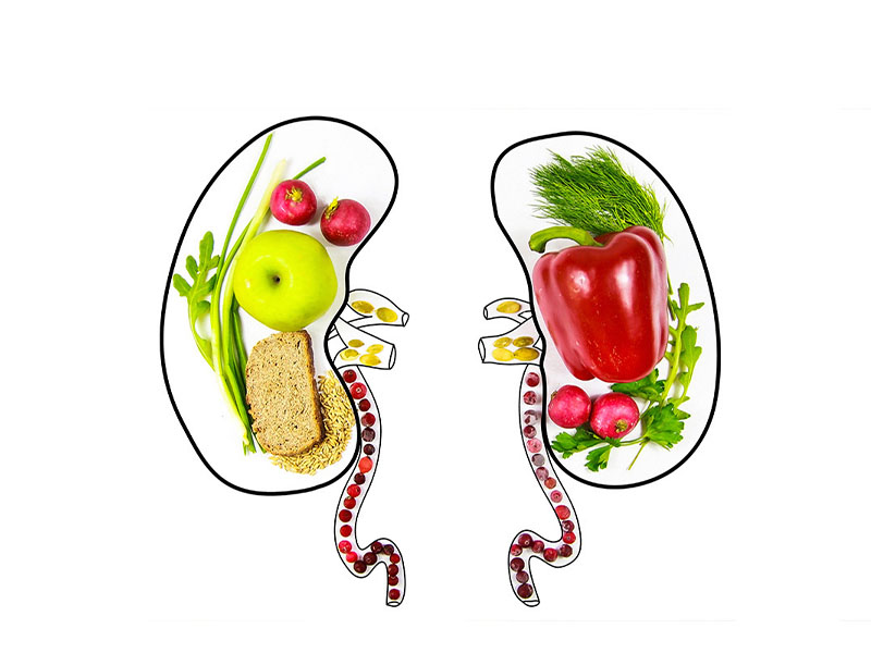 Ăn đủ dinh dưỡng giúp cơ thể khỏe mạnh và hạn chế sỏi thận hình thành