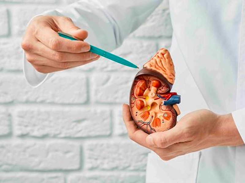 Nên uống thuốc hay mổ hở để trị sỏi thận