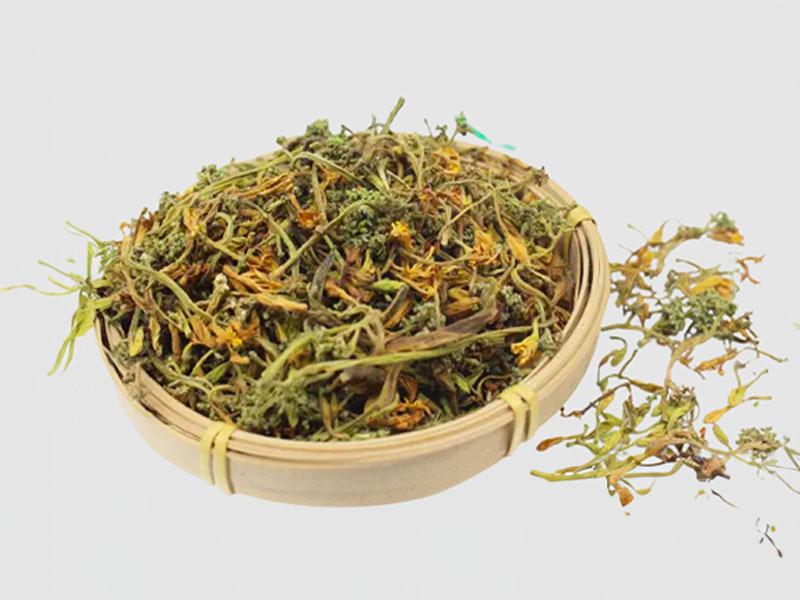  Tại sao bông đu đủ được chữa được sỏi thận 