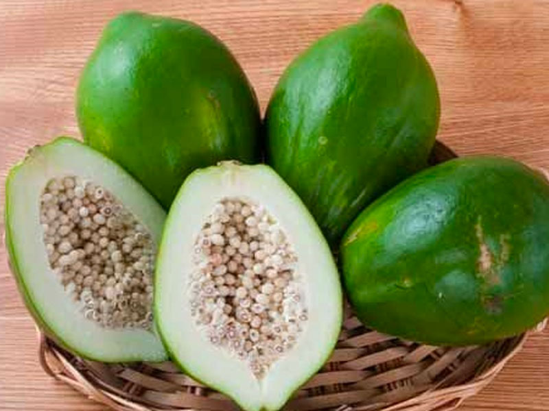 Chữa sỏi niệu quản bằng mẹo dân gian từ đu đủ xanh