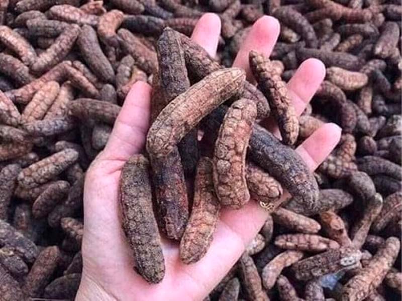 Bài thuốc chữa sỏi thận bằng chuối hột rừng