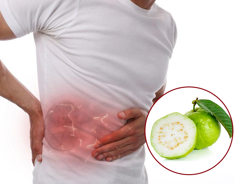  Nhiều người thắc mắc “ Bị sỏi thận có được ăn ổi không?”