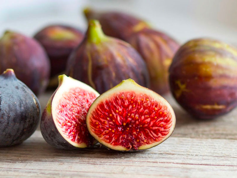 Trái sung chữa sỏi thận