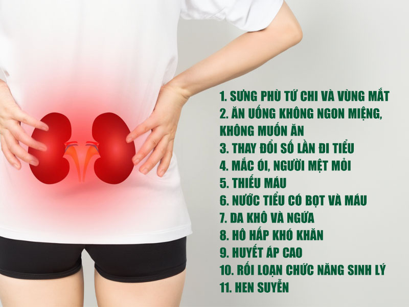  11 dấu hiệu nhận biết thận yếu 