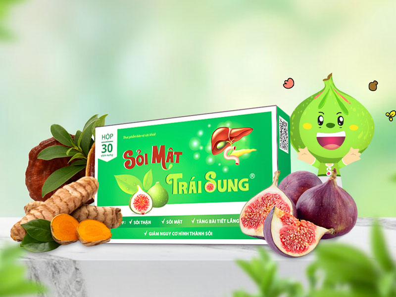 Sỏi mật trái sung đẩy lùi sỏi bàng quang