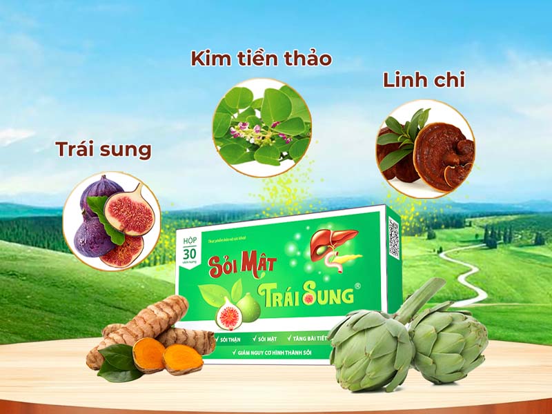 Cách trị sỏi thận bằng viên uống sỏi mật trái sung