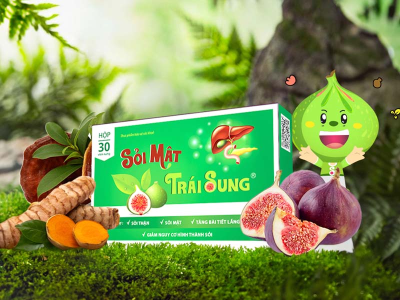 Nguyên liệu đầu vào sạch - sinh - sơ la lựa chọn hàng đầu của sỏi mật trái sung 