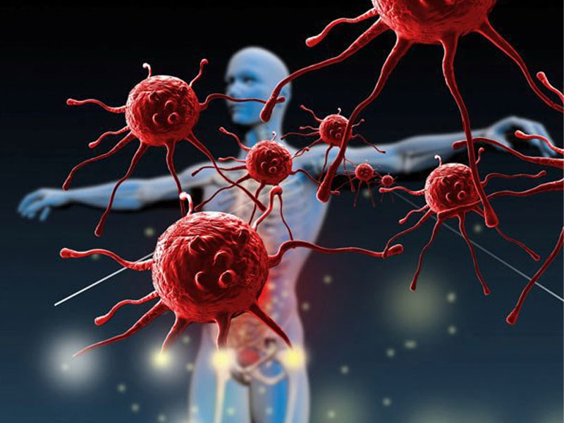 Hệ miễn dịch của cơ thể suy giảm kéo theo các vấn đề về gan