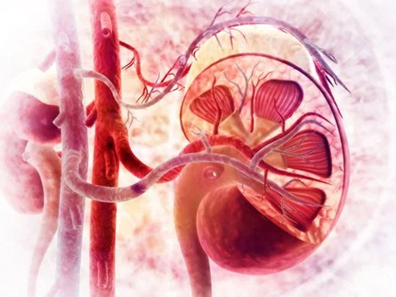  Bệnh viêm cầu thận cấp tính thuộc các bệnh ở thận nguy hiểm 