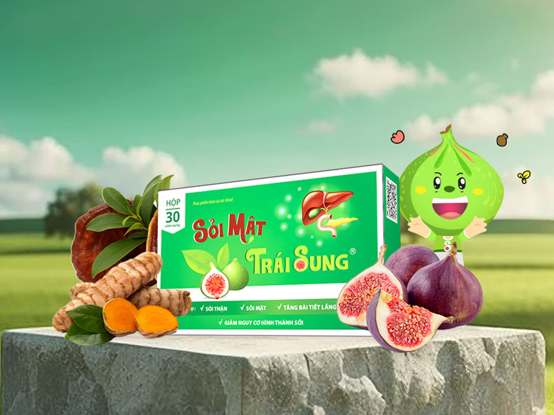 Đánh tan sỏi bằng sỏi mật trái sung chỉ sau một liệu trình