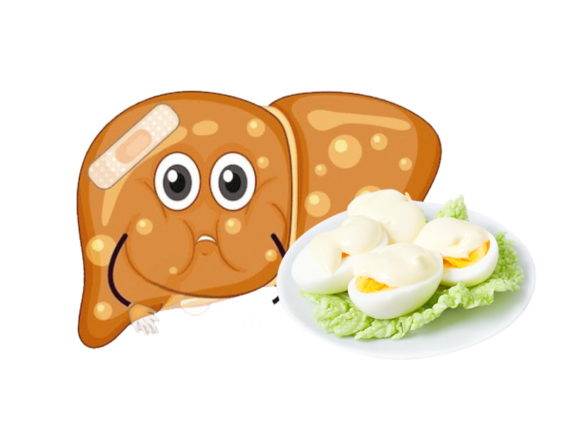 Bệnh gan nhiễm mỡ có ăn trứng được không?