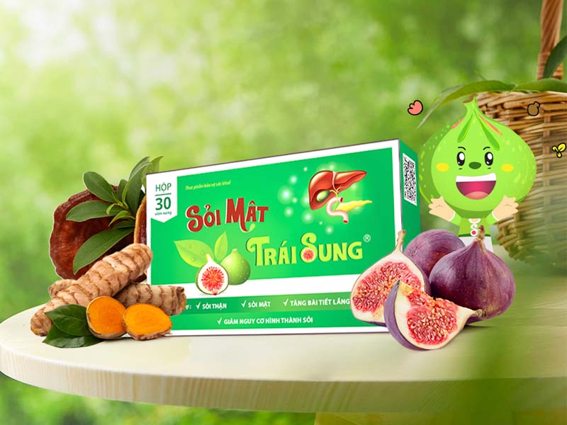 Sỏi mật trái sung - giải pháp cho bệnh sỏi thận, sỏi mật