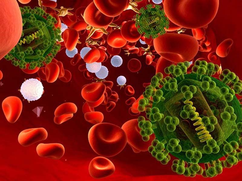 Vi khuẩn là thủ phạm lớn nhất làm ảnh hưởng trực tiếp đến chức năng đường dẫn mật