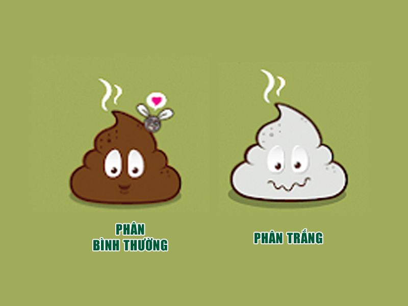 Phân trắng nhợt, xám hoặc màu nâu tự nhiên là do gan tiết dịch mật không đủ
