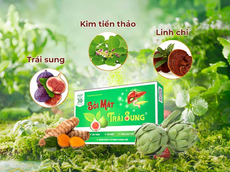  Sỏi mật trái sung giúp điều trị sỏi bùn mật hiệu quả chỉ sau 1 liệu trình sử dụng 