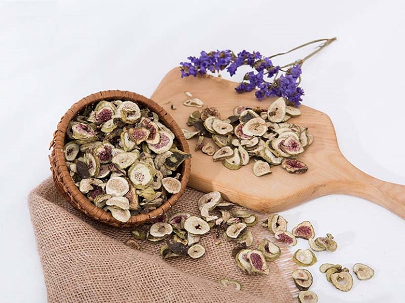 Trái sung điều trị sỏi thận hiệu quả, an toàn 