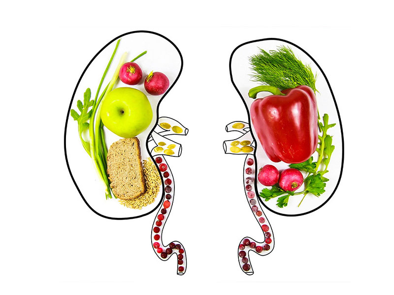  Sỏi thận nên ăn trái cây gì?