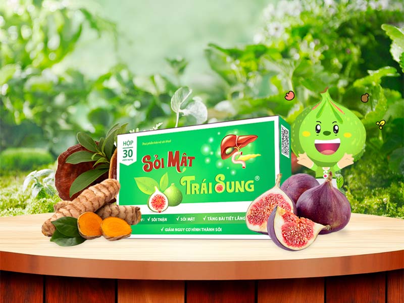 Sỏi mật trái sung điều trị sỏi thận, sỏi mật, sỏi gan hạn chế cơn đau thận