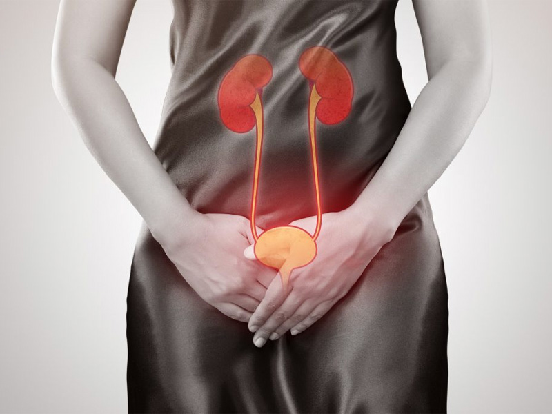  Phụ nữ chiếm đến hơn 50% tỷ lệ mắc bệnh nhiễm trùng đường tiết niệu